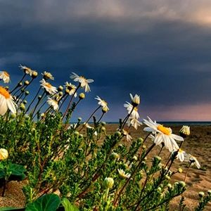 MAKE ME AN OFFER!!!!